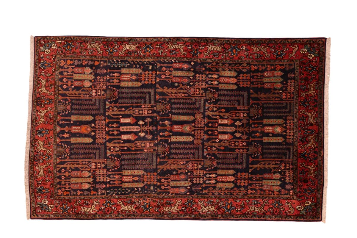 Kordi — Koliayie, 243 × 153 cm | RUGSOCIETE