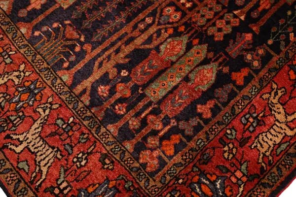 Kordi — Koliayie — view 5 | RUGSOCIETE