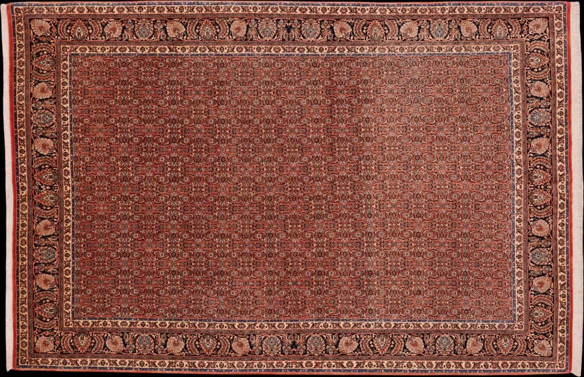 Bidjar — Bidjar exkl.W.S., 304 × 204 cm | RUGSOCIETE