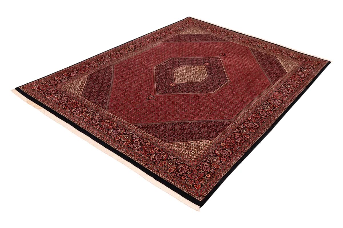 Bidjar — Bidjar, 306 × 229 cm — detail | RUGSOCIETE
