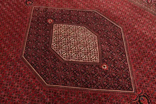 Bidjar — Bidjar — view 11 | RUGSOCIETE