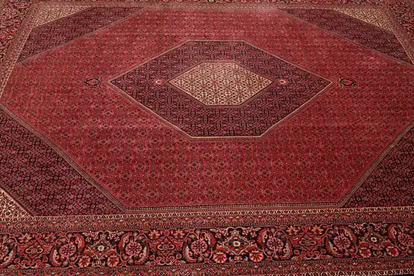 Bidjar — Bidjar — view 7 | RUGSOCIETE