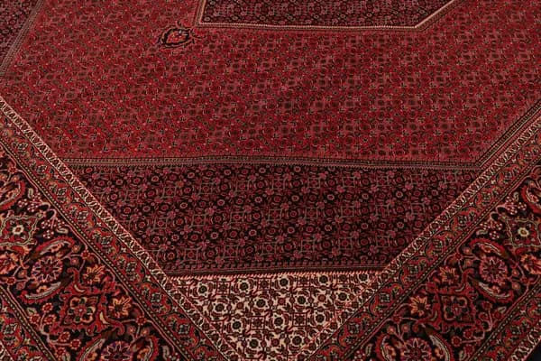 Bidjar — Bidjar — view 8 | RUGSOCIETE