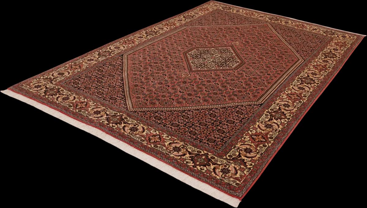 Bidjar — Bidjar, 296 × 197 cm — detail | RUGSOCIETE