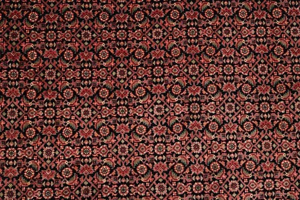 Bidjar — Bidjar exkl.W.S. — view 11 | RUGSOCIETE