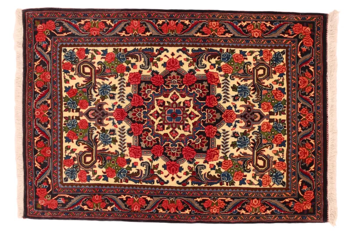 Bidjar — Bidjar, 99 × 69 cm | RUGSOCIETE