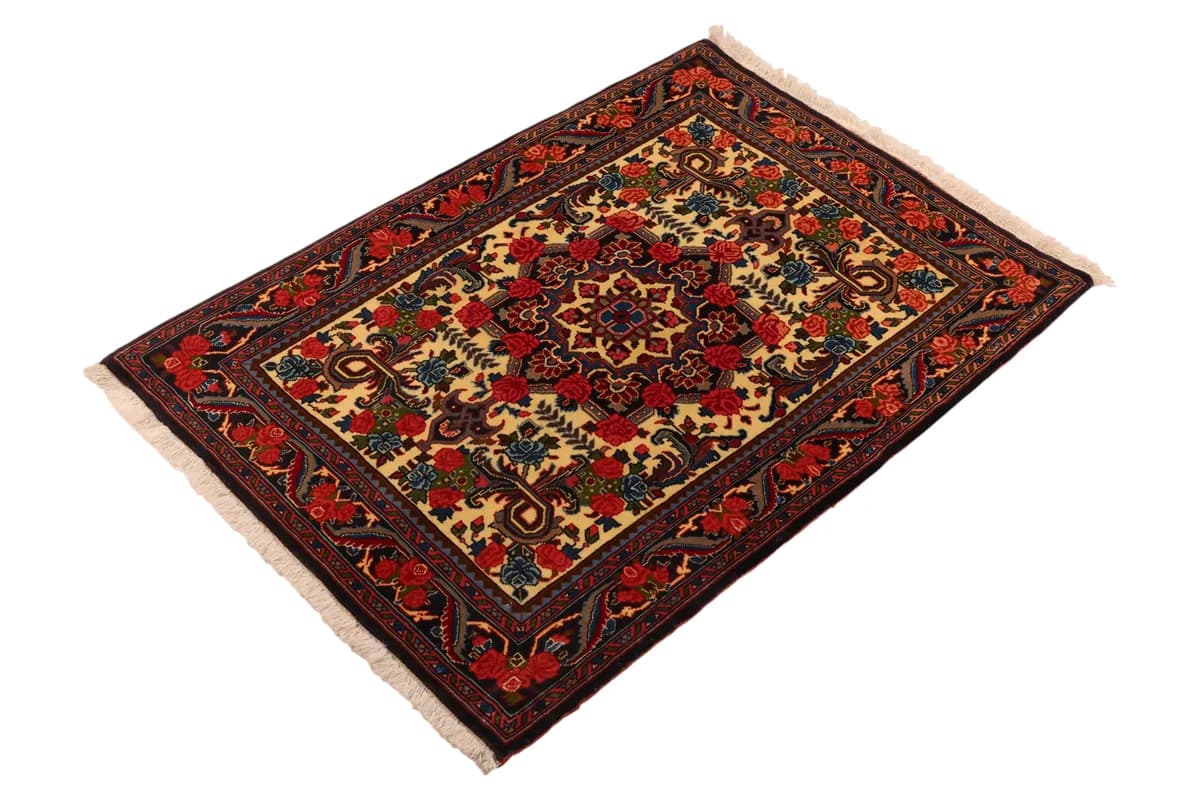 Bidjar — Bidjar, 99 × 69 cm — detail | RUGSOCIETE