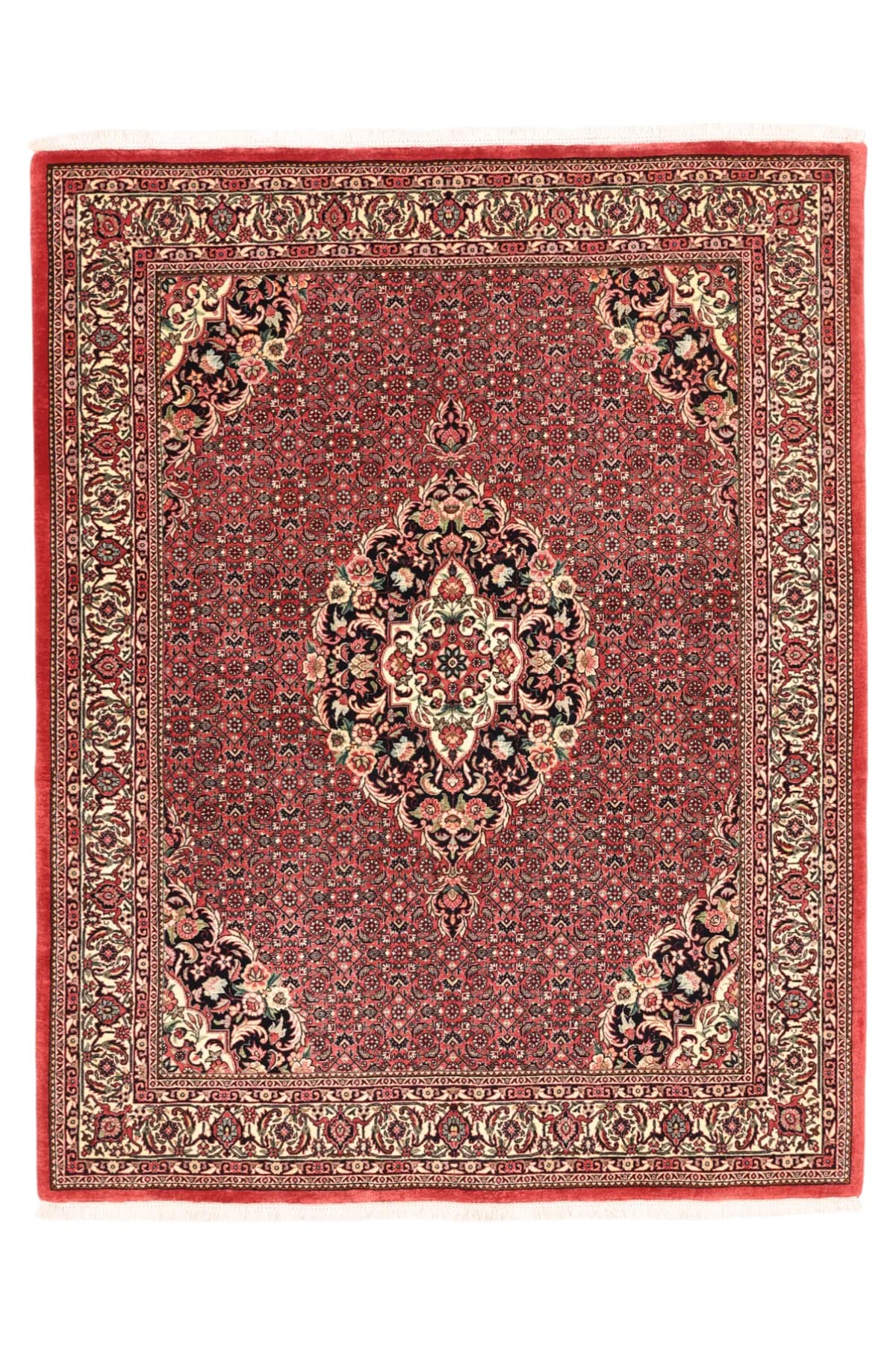 Bidjar — Bidjar exkl.W.S., 194 × 153 cm | RUGSOCIETE