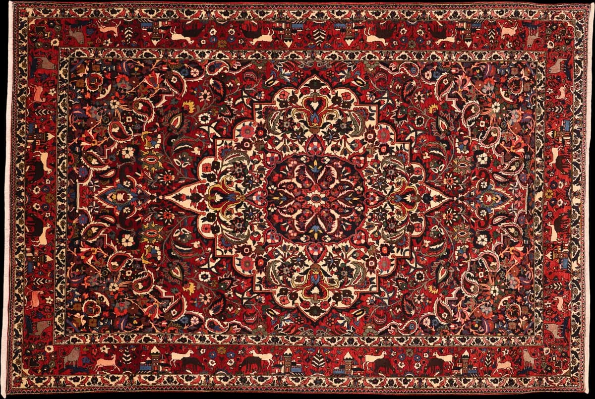 Bakhtiar — Bakhtiar, 315 × 215 cm | RUGSOCIETE
