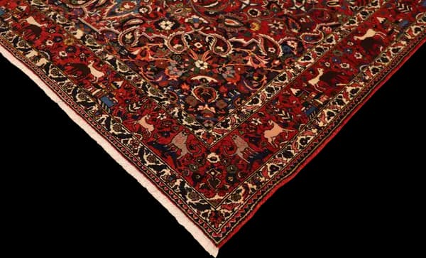 Bakhtiar — Bakhtiar — view 13 | RUGSOCIETE