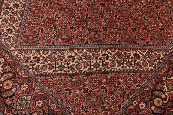Bidjar — Bidjar — view 8 | RUGSOCIETE