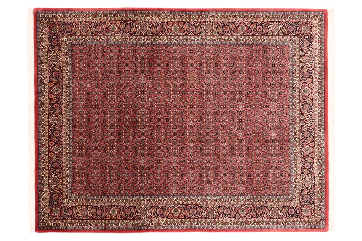 Bidjar — Bidjar exkl.W.S., 225 × 172 cm | RUGSOCIETE
