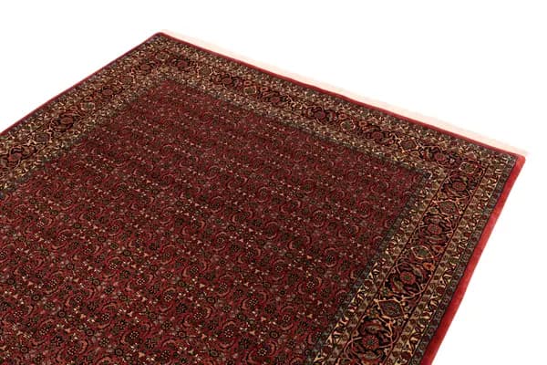 Bidjar — Bidjar exkl.W.S. — view 7 | RUGSOCIETE