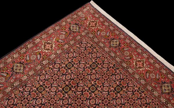 Bidjar — Bidjar — view 10 | RUGSOCIETE
