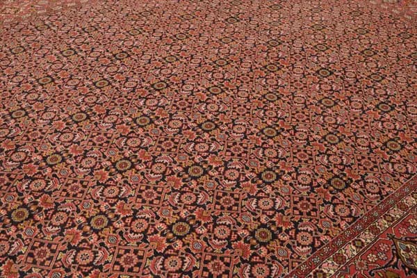 Bidjar — Bidjar — view 7 | RUGSOCIETE