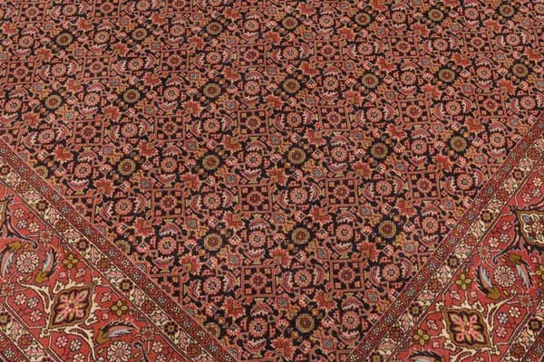 Bidjar — Bidjar — view 8 | RUGSOCIETE