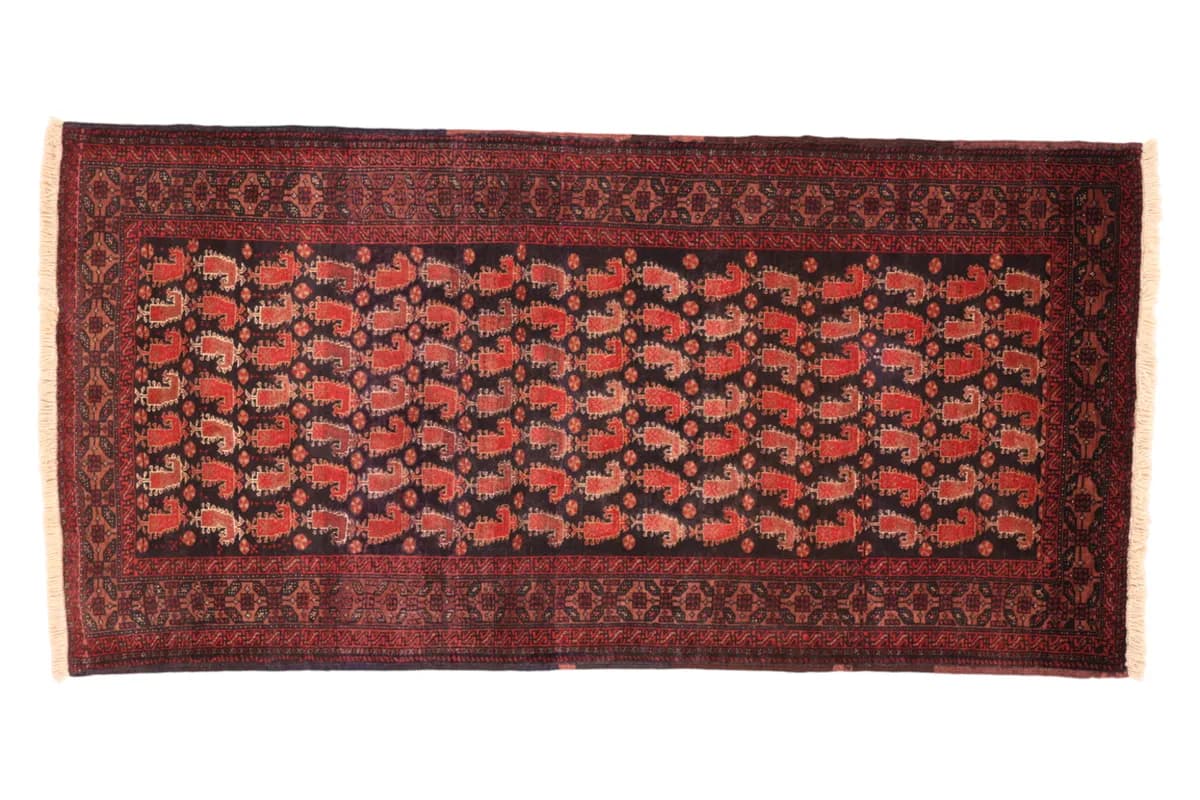 Belutsch — Belutsch, 212 × 102 cm | RUGSOCIETE