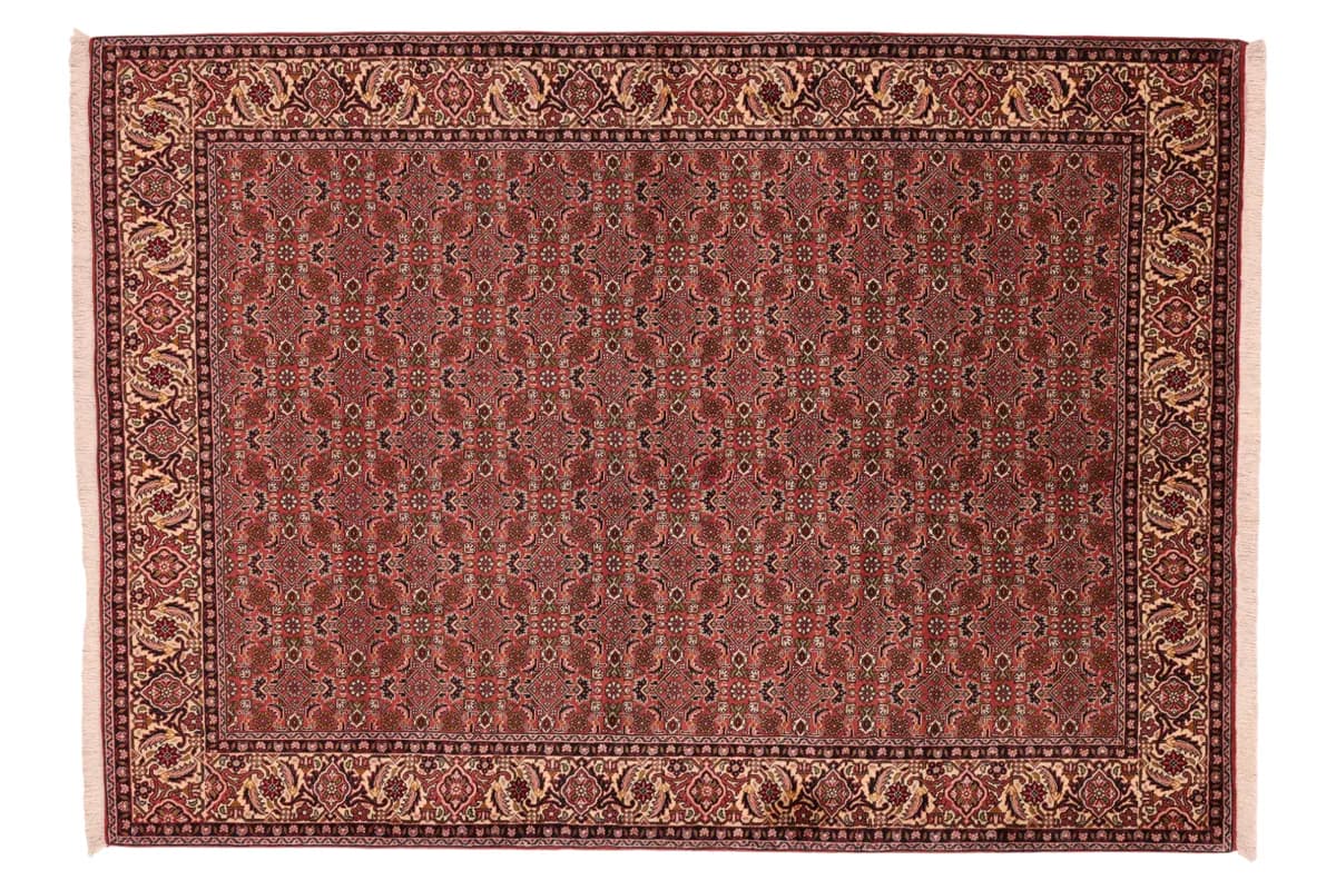 Bidjar — Bidjar, 243 × 174 cm | RUGSOCIETE