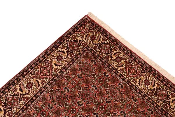Bidjar — Bidjar — view 6 | RUGSOCIETE
