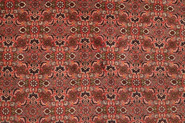 Bidjar — Bidjar — view 12 | RUGSOCIETE