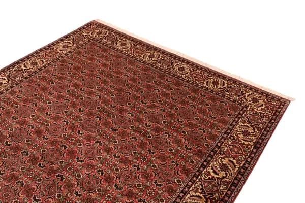 Bidjar — Bidjar — view 7 | RUGSOCIETE