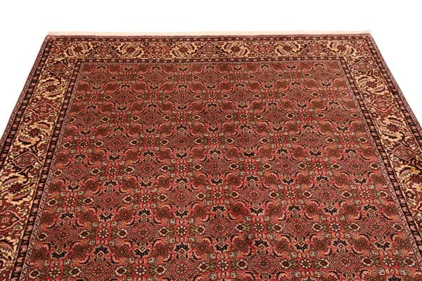 Bidjar — Bidjar — view 8 | RUGSOCIETE