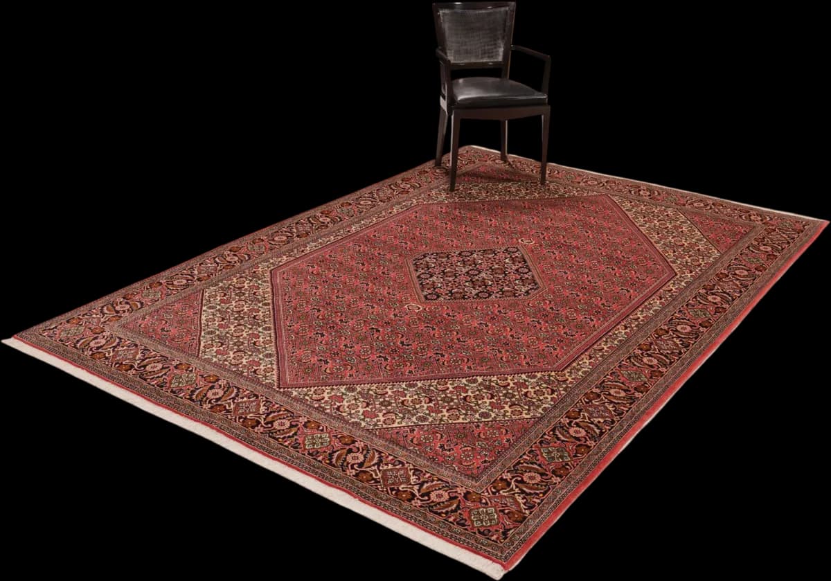 Bidjar — Bidjar, 302 × 206 cm — detail | RUGSOCIETE