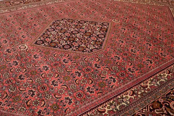 Bidjar — Bidjar — view 7 | RUGSOCIETE