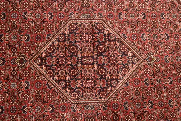 Bidjar — Bidjar — view 12 | RUGSOCIETE