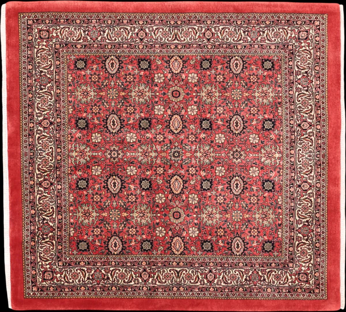 Bidjar — Bidjar exkl.W.S., 163 × 153 cm | RUGSOCIETE
