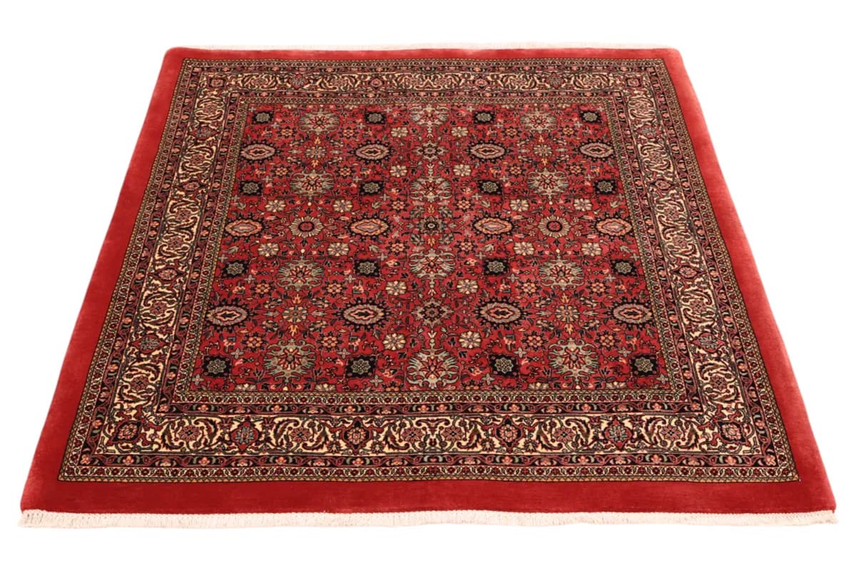 Bidjar — Bidjar exkl.W.S., 163 × 153 cm — detail | RUGSOCIETE