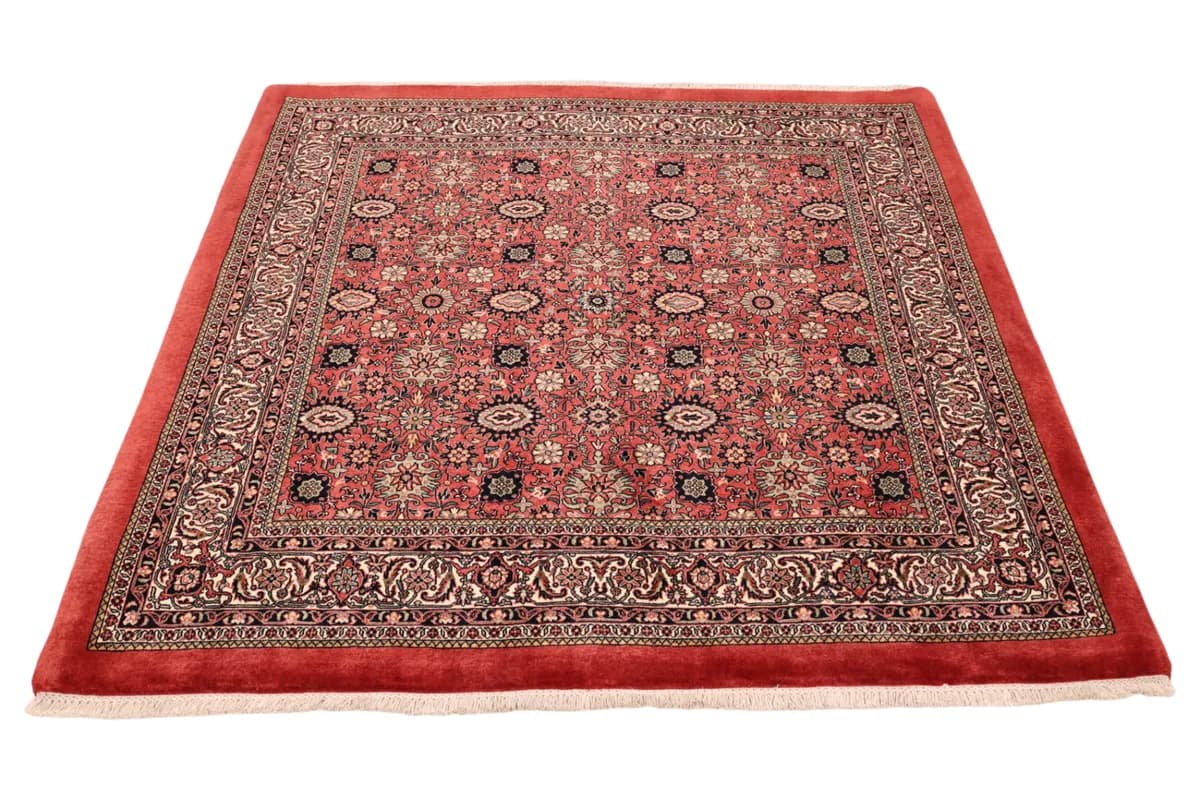 Bidjar — Bidjar exkl.W.S., 163 × 153 cm | RUGSOCIETE