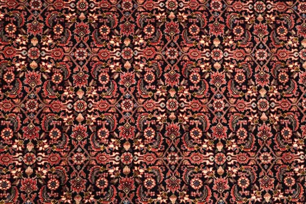 Bidjar — Bidjar exkl.W.S. — view 6 | RUGSOCIETE