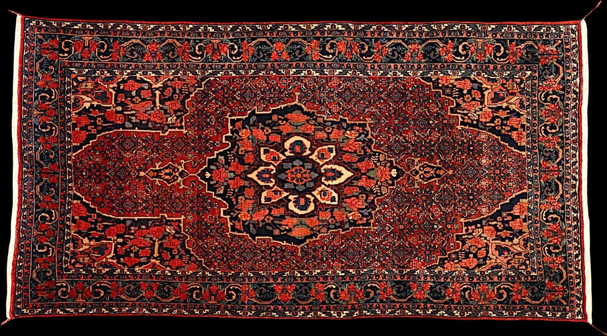 Bidjar — Bidjar, 320 × 168 cm | RUGSOCIETE