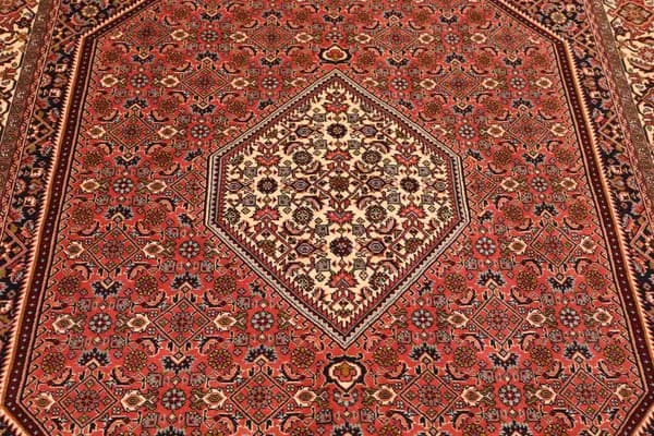 Bidjar — Bidjar — view 12 | RUGSOCIETE