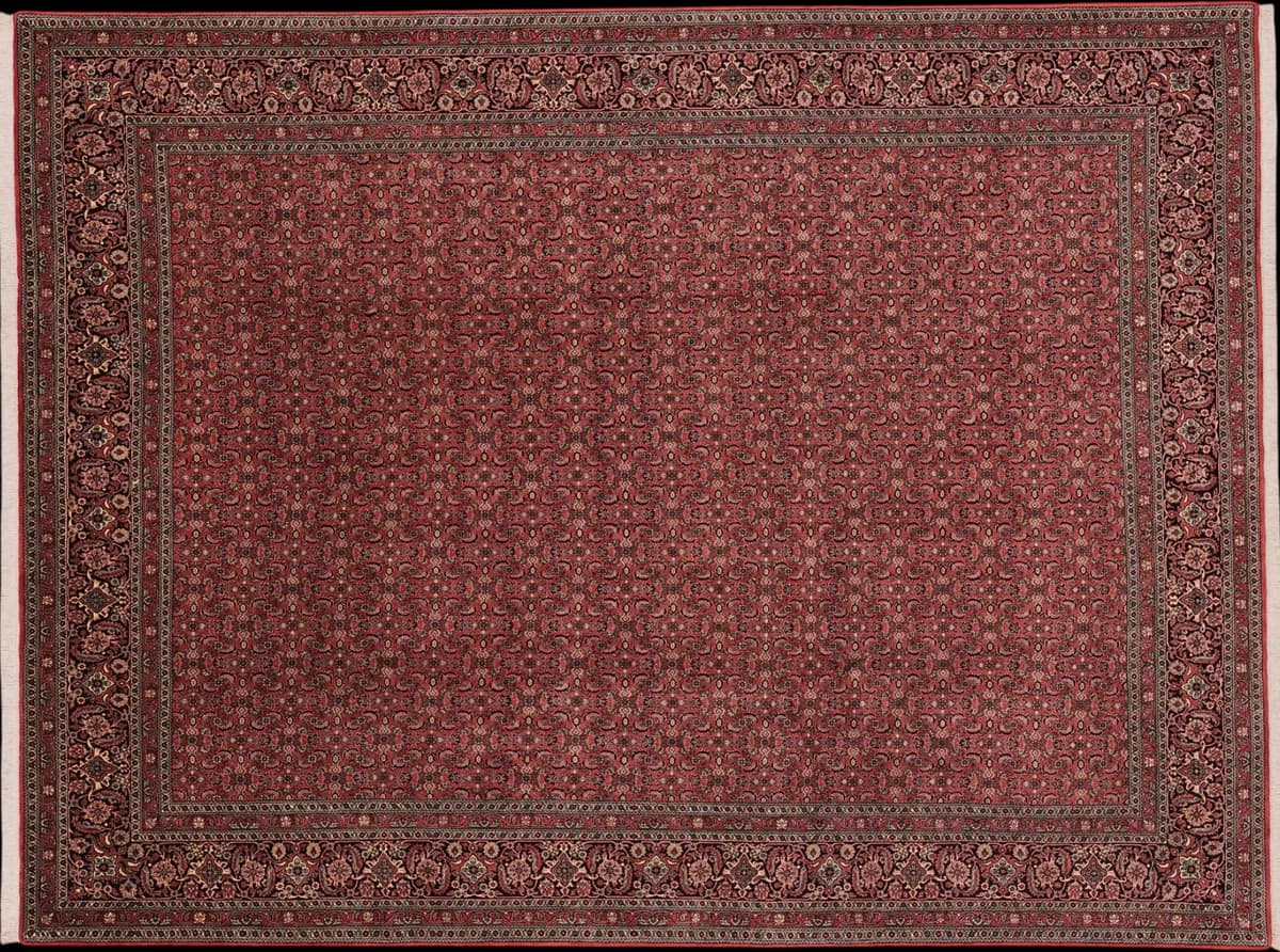 Bidjar — Bidjar exkl.W.S., 342 × 258 cm | RUGSOCIETE