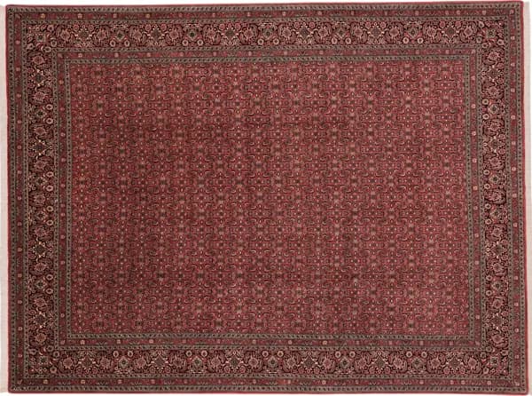 Hand-knotted Bidjar, 342 × 258 cm