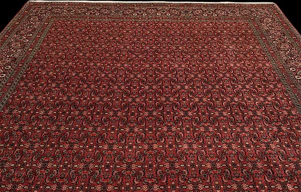 Bidjar — Bidjar exkl.W.S. — view 6 | RUGSOCIETE