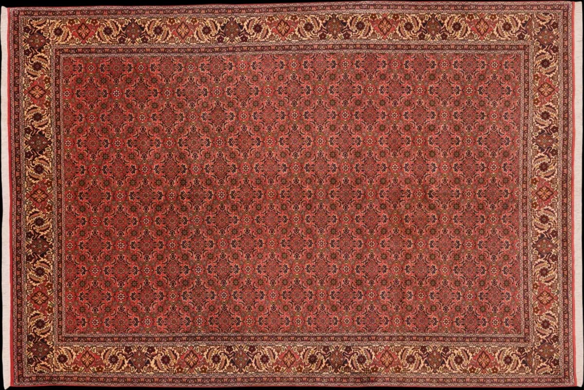 Bidjar — Bidjar, 293 × 200 cm | RUGSOCIETE