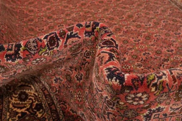 Bidjar — Bidjar — view 13 | RUGSOCIETE