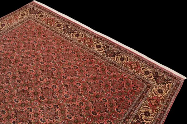 Bidjar — Bidjar — view 5 | RUGSOCIETE