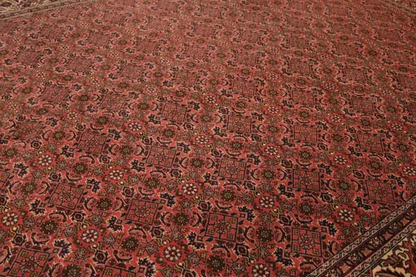 Bidjar — Bidjar — view 7 | RUGSOCIETE
