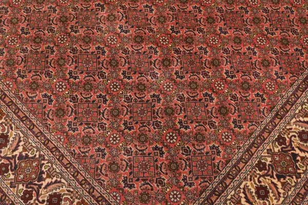 Bidjar — Bidjar — view 8 | RUGSOCIETE
