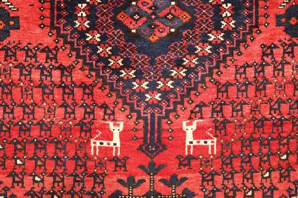 Shiraz — Shiraz — view 8 | RUGSOCIETE