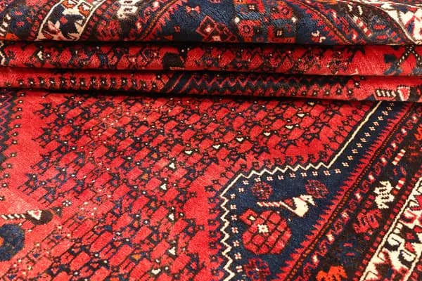 Shiraz — Shiraz — view 11 | RUGSOCIETE