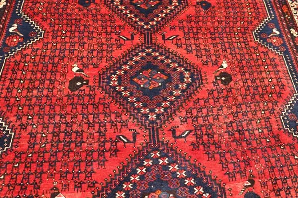 Shiraz — Shiraz — view 14 | RUGSOCIETE