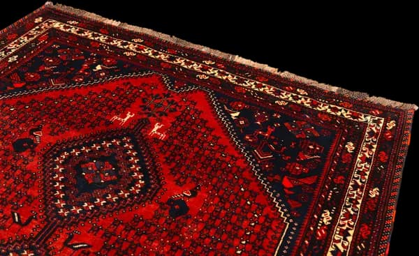 Shiraz — Shiraz — view 6 | RUGSOCIETE