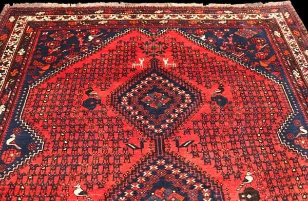 Shiraz — Shiraz — view 7 | RUGSOCIETE