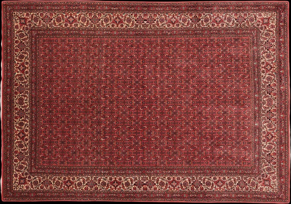 Bidjar — Bidjar, 298 × 208 cm | RUGSOCIETE