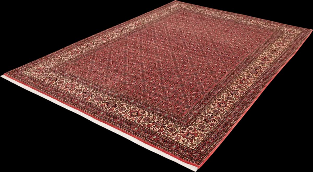 Bidjar — Bidjar, 298 × 208 cm — detail | RUGSOCIETE
